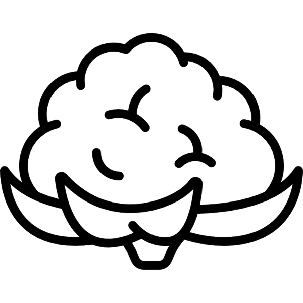 Cauliflower rice base
